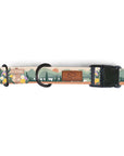 Let's Hike Dog Collar