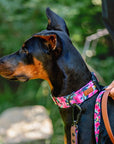 Hibiscus Floral Dog Collar