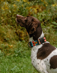 Sedona Geo Dog Collar