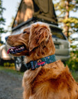 Overland Forest Dog Collar