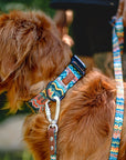 Elements in Green Dog Collar