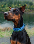 Luminous Peaks Dog Collar | Limited Artist Series