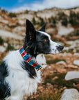 Sedona Geo Dog Collar