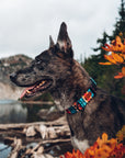 Sedona Geo Dog Collar