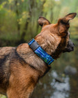 Luminous Peaks Hybrid Martingale Collar