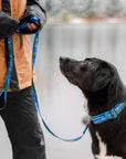 Luminous Peaks Leash