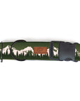 Juniper Mountain Dog Collar
