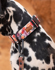 Cactus Bloom Dog Collar