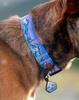 Glacier Cascades Dog Collar | Limited Artist Series