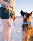 Glacier Cascades Dog Collar | Limited Artist Series