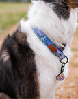 Glacier Cascades Dog Collar | Limited Artist Series