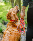 Lava Cascades Dog Collar | Limited Artist Series