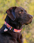 Lava Cascades Dog Collar | Limited Artist Series