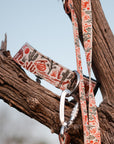 Desert Coyote Dog Collar