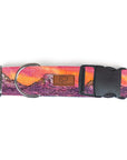 Lava Cascades Dog Collar | Limited Artist Series