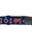 Dragonfruit Dog Collar