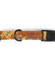 Honey Bee Dog Collar