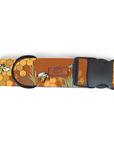 Honey Bee Dog Collar