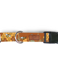 Honey Bee Dog Collar