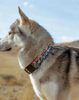 Westward Collar