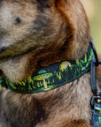 1947 Buckle-On Martingale Collar