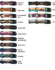 Plastic Buckle Dog Collar Three Pack (choose your designs)