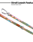 Glacier Cascades Leash