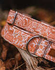 Harvest Squirrel Dog Collar