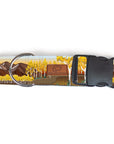 Aspen Ridge Dog Collar