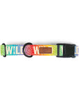 Rainbow Topo Wild Dog Collar