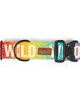 Rainbow Topo Wild Dog Collar
