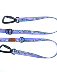 Glacier Cascades Leash