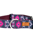 Dragonfruit Dog Collar