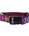 Dragonfruit Dog Collar