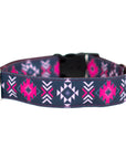 Dragonfruit Dog Collar