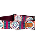 Painted Hills Dog Collar