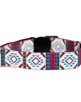 Painted Hills Dog Collar