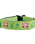 Olive Raccoon Dog Collar