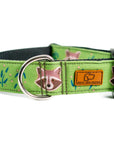 Olive Raccoon Dog Collar