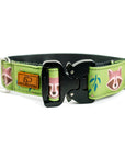 Olive Raccoon Dog Collar