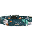 Harvest Moon Dog Collar