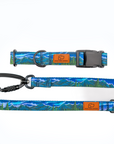 Luminous Peaks Leash