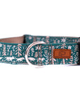 Nordic Sled Dog Collar