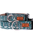 Nordic Sled Dog Collar