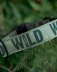 Evergreen Wild Dog Collar