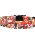 Cactus Bloom Dog Collar