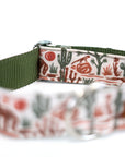 Desert Coyote Dog Collar
