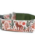 Desert Coyote Dog Collar