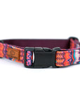 Elements in Pink Dog Collar