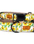 Sunflower Dog Collar